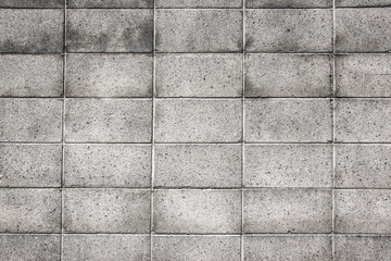 Gray brick wall background.