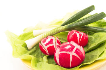Salad of radishes, lettuce and spring onions