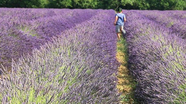 Course dans un champ de lavande