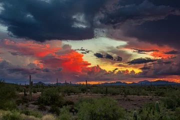 Zelfklevend Fotobehang Desert sunset © JSirlin