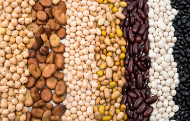 Mixture of dried lentils, peas, soybeans, beans