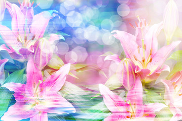 Fototapeta na wymiar Close up of pink lilies