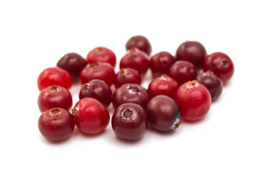 cranberries isolated