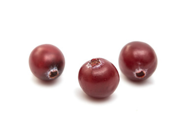 cranberries isolated