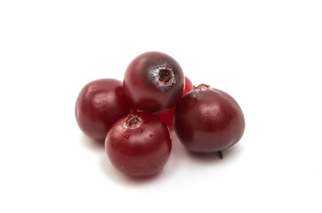 cranberries isolated
