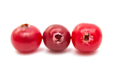 cranberries isolated