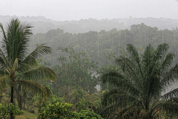 Fototapeta na wymiar Saison des pluies sur l'Approuague, Guyane française