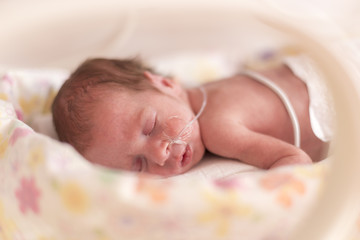 Premature newborn  baby girl
