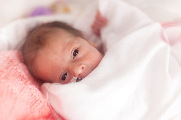 Premature newborn  baby girl - obrazy, fototapety, plakaty