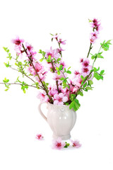 spring flowers