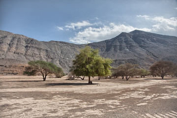 Amazing scenery in Musandam peninsula, Oman
