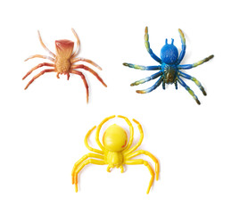 Fake rubber spider toy isolated