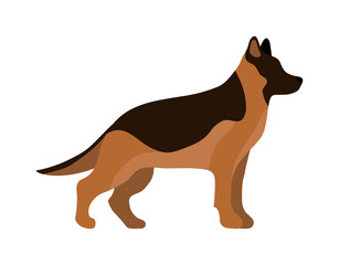 Flat dog pet and sitting cute vector