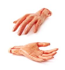 Fake severed hand isolated