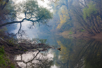 Obraz premium autumn