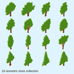 Cartoon trees flat isometric vector icons