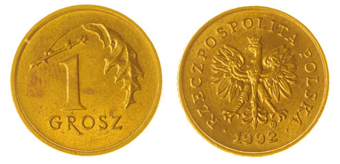  grosz 1992 coin isolated on white background, Poland
