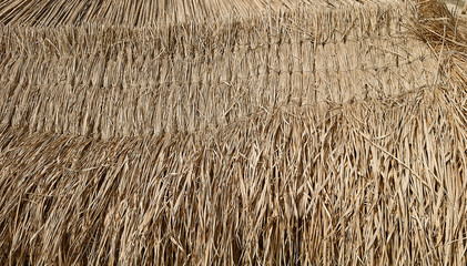 Thatch background