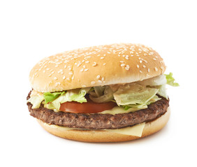 Fresh hamburger isolated