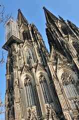Fototapeta premium Kölner Dom
