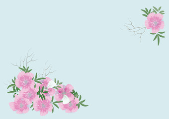 pink flower card design for card  background 