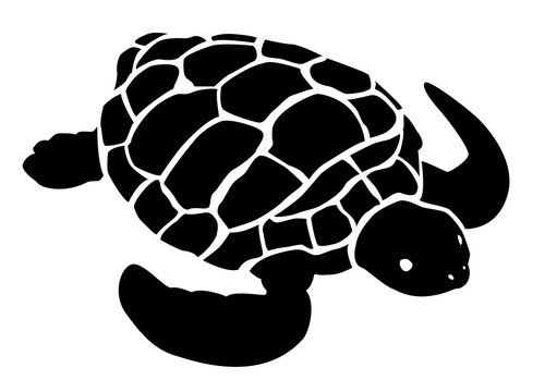 Illustration noire d'une tortue sur fond blanc