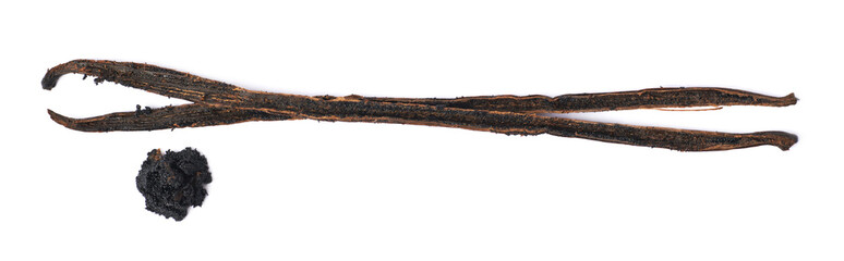 Dried vanilla pod fruit isolated