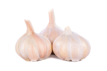 garlic on the white backbround