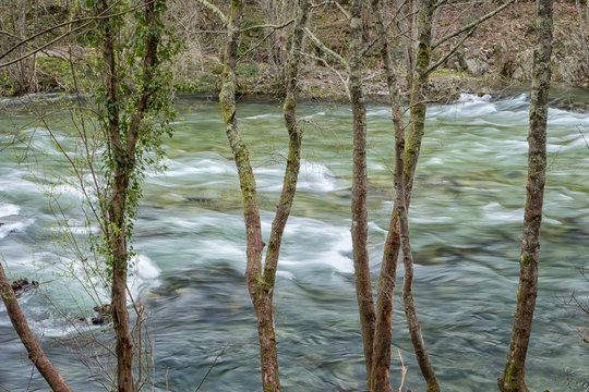 Paiva river