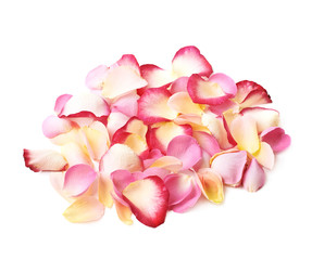 Pile of multiple rose petals