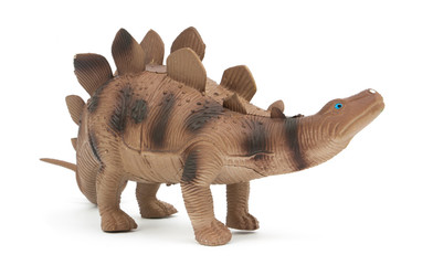 Stegosaurus dinosaur isolated