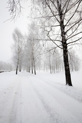 winter road ,  track.