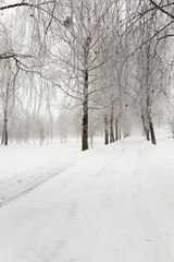 Fototapeta na wymiar path in the snow 