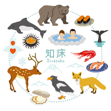 知床　観光　アイコンセット - Shiretoko Tourism - Flat icons