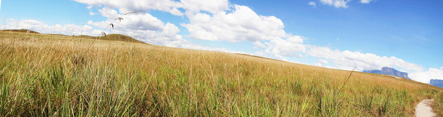 View of the savannah from the track to mounth Roraima