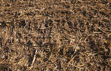 Photo agriculture, Europe 