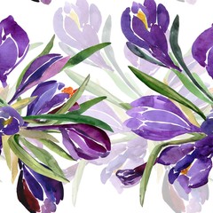 Seamless watercolor illustration of crocus flowers 