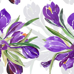 Seamless watercolor illustration of crocus flowers 