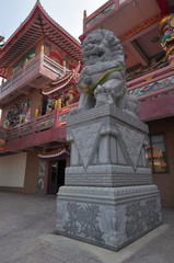 Lion statue in Chinese shrine in Thailand.