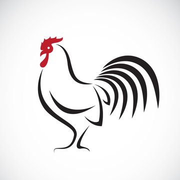 Vector image of an cock design on white background