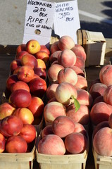 Peaches and Nectarines displayed at a food market outdoors