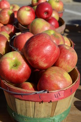 Fresh apple harvest for sale in baskets