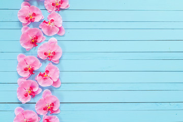 Background with flowers pink orchid on blue painted wooden plank