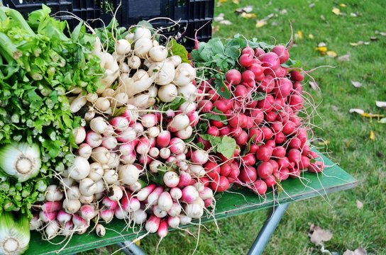 Celery and Radishes displayed for sale at a Farmers Market