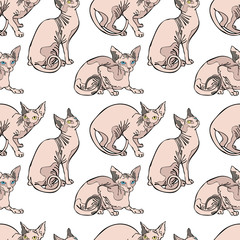 Hairless naked cats. Sphynx Cats. Seamless vector pattern (background).
