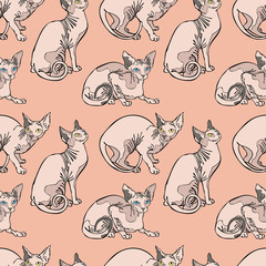 Naklejka premium Hairless naked cats. Sphynx Cats. Seamless vector pattern (background).