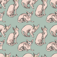 Hairless naked cats. Sphynx Cats. Seamless vector pattern (background).