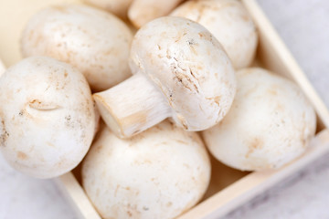 Champignons