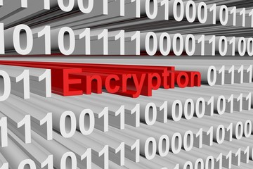 encryption is represented as a binary code