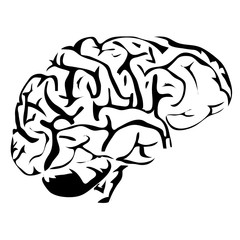 Outline brain human internal organs vector image